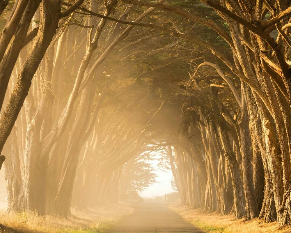 Medical Center Kladno